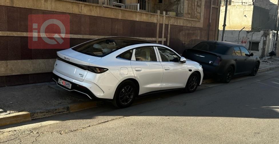 بي واي دي سيل 06 DM-i